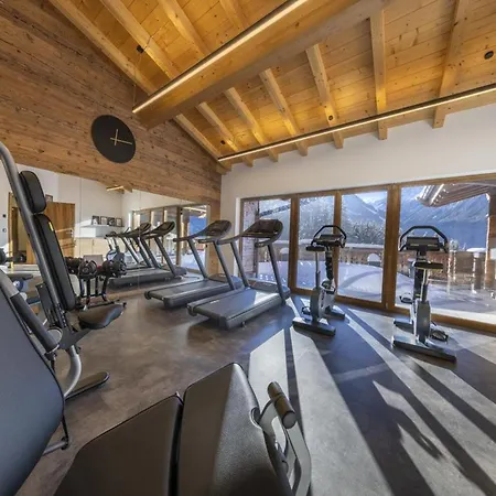 Nationalpark Gabelspitze Chalet Neukirchen am Grossvenediger